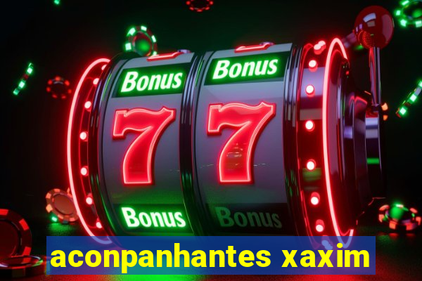 aconpanhantes xaxim